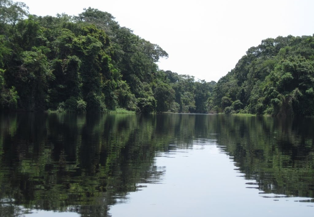 Overlooking the Tshuapa River in the Democratic Republic of the Congo