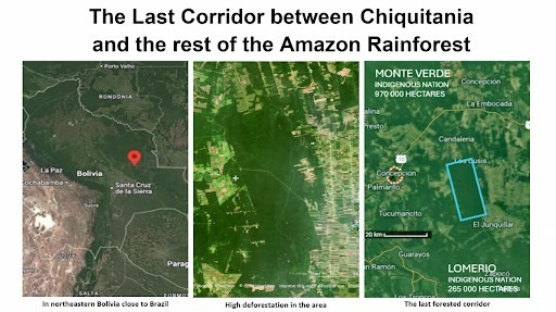 Satellite images side-by-side showing the plot of land for sale in the Chiquitano forest in Bolivia
