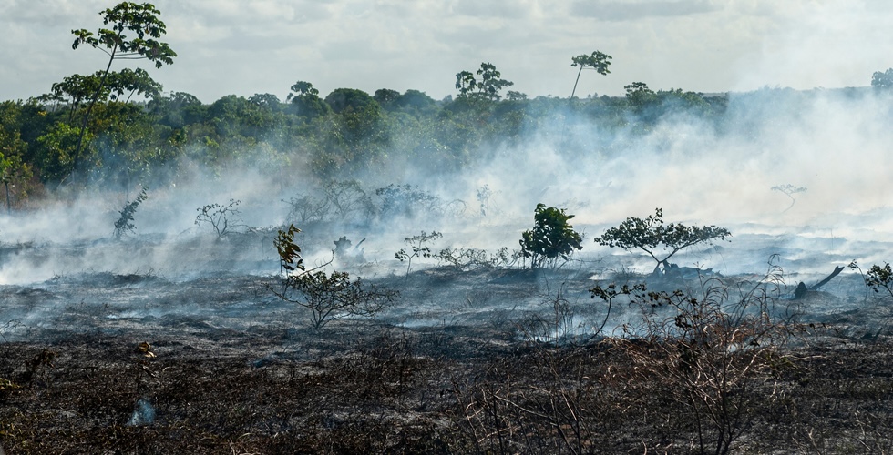 Smoke covers a large area of rainforest that has been burned down to make way for crops.
