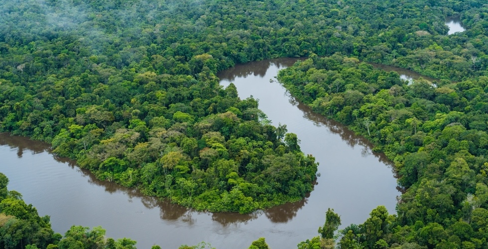 Close up of a river snaking through the lush green Amazon rainforest.