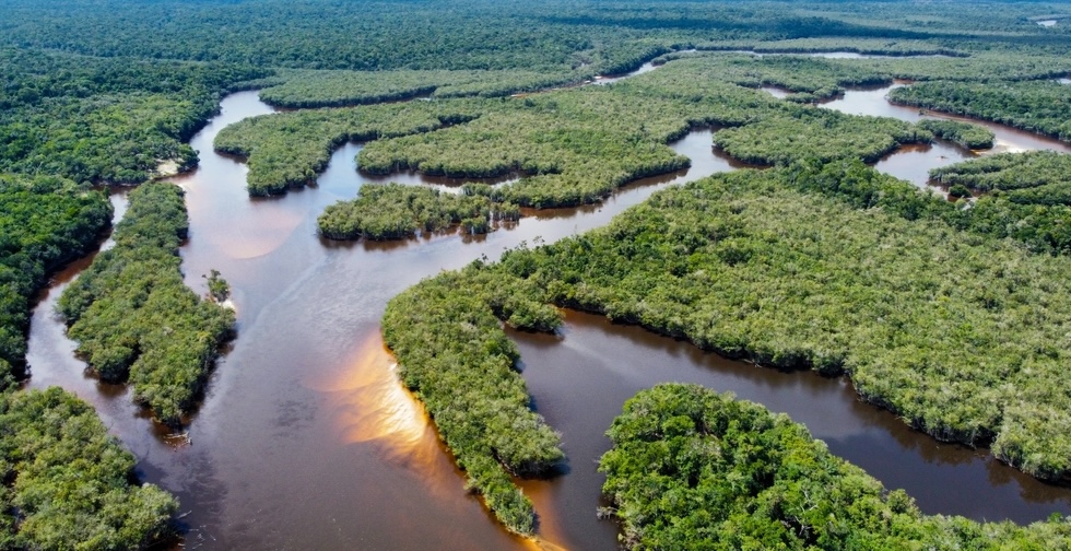 Aerial view of rivers snaking through the lush greenery of the Amazon rainforest.