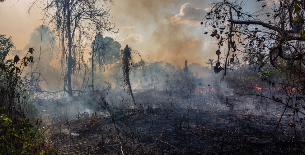 Thick smoke rises from a scorched Amazon forest floor as flames continue to burn through dry vegetation. The scene shows charred trees and haze, capturing the destructive impact of a wildfire used as a means of illegal deforestation.
