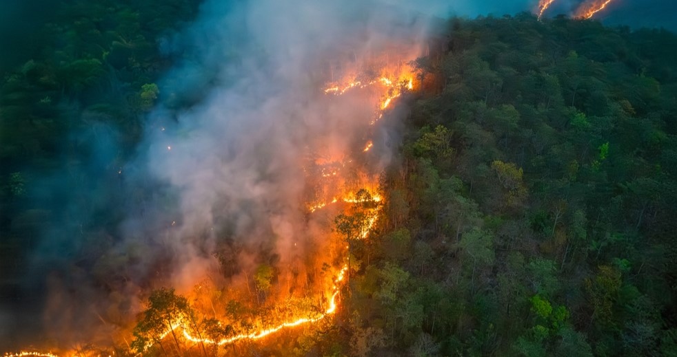An aerial view showing a blazing forest fire that cuts like a crack through the dense green forest. Thick smoke rises.