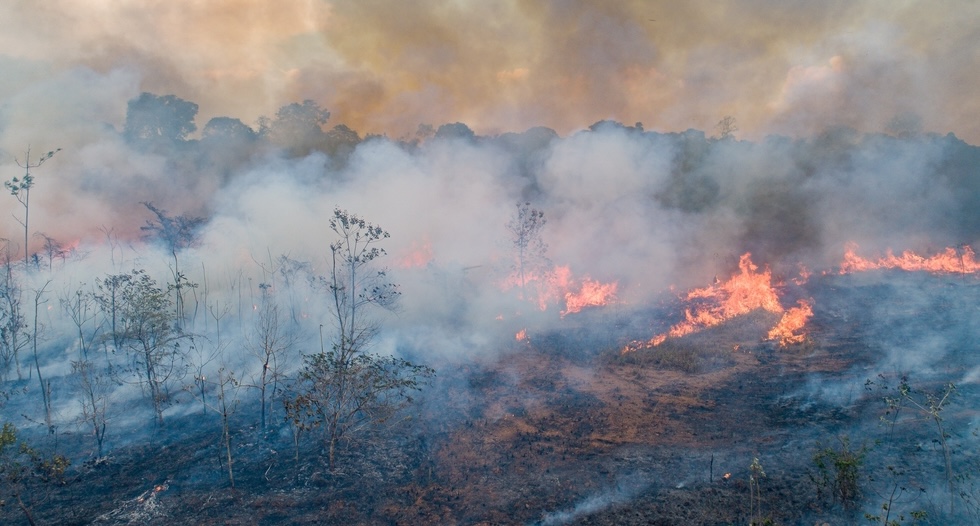 The Amazon rainforest on fire. Clouds of smoke and bright orange flames are visible.